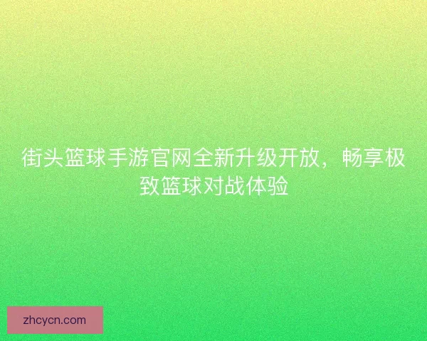 街头篮球手游官网全新升级开放，畅享极致篮球对战体验